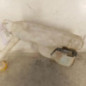 Vase de lave glace RENAULT GRAND SCENIC 3