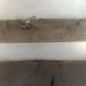 Moteur essuie glace avant PEUGEOT 307