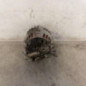 Alternateur RENAULT CLIO 2