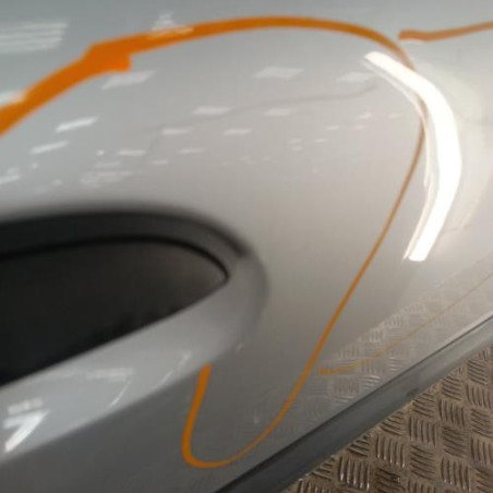 Porte avant droit RENAULT CLIO 2