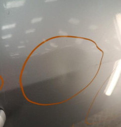 Porte arriere gauche OPEL MERIVA B