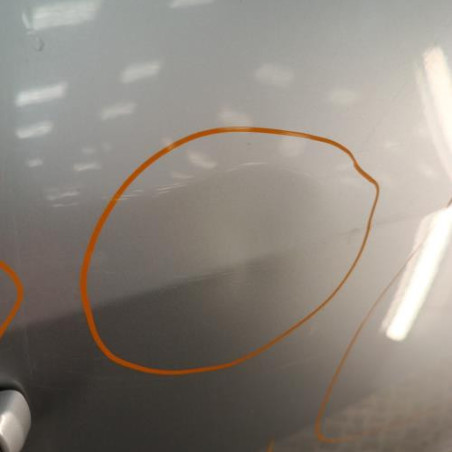Porte arriere gauche OPEL MERIVA B