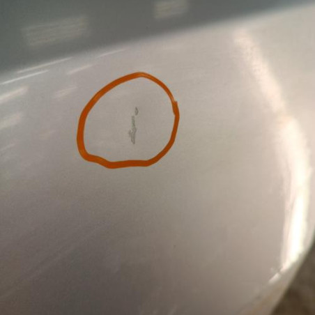 Porte avant gauche OPEL MERIVA B