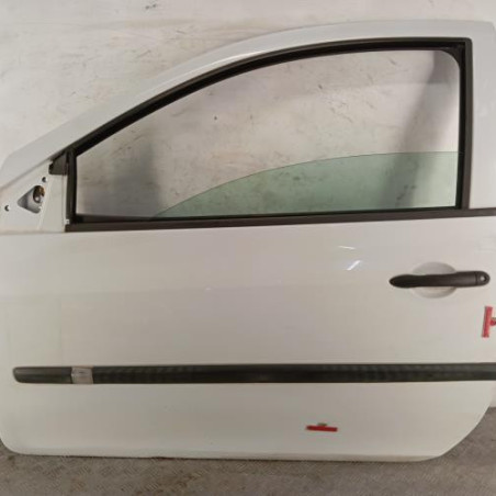 Porte avant gauche RENAULT CLIO 3 Photo n°1