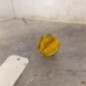 Jauge d'huile RENAULT GRAND SCENIC 3