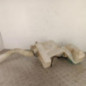 Vase de lave glace PEUGEOT 308 1 SW