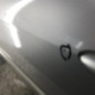 Porte avant gauche RENAULT LAGUNA 3