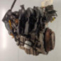 Moteur FORD FIESTA 5