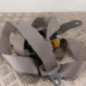Ceinture avant droit NISSAN X-TRAIL 1