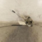 Serrure avant droit RENAULT CLIO 2