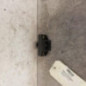 Serrure de hayon RENAULT CLIO 2