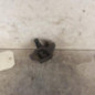 Serrure de hayon RENAULT TWINGO 1