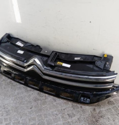 Calandre CITROEN C3 3 SOCIETE