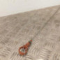 Jauge d'huile CITROEN C3 3 SOCIETE