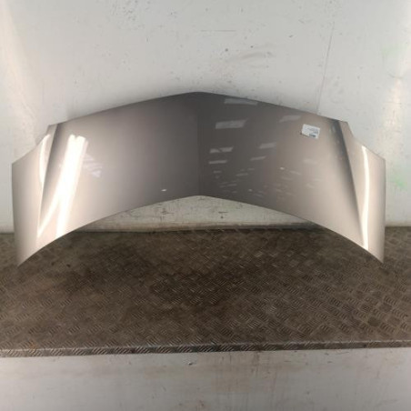 Capot RENAULT MODUS Photo n°1