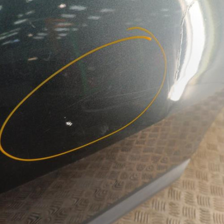 Porte arriere droit DACIA SANDERO 1