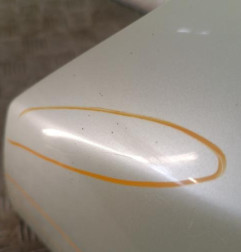 Aile avant gauche RENAULT VEL SATIS