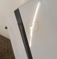 Porte arriere gauche RENAULT CLIO 3