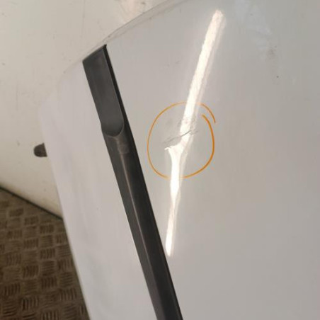 Porte arriere gauche RENAULT CLIO 3