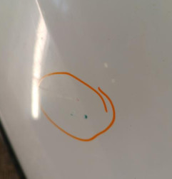 Porte arriere gauche RENAULT CLIO 3 Photo n°3