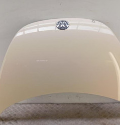 Capot VOLKSWAGEN NEW BEETLE 1 Photo n°1
