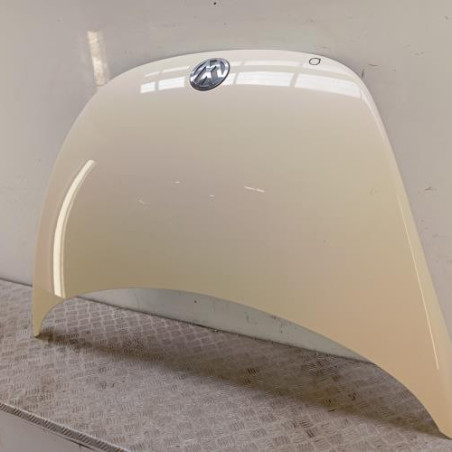 Capot VOLKSWAGEN NEW BEETLE 1