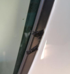 Porte arriere gauche DACIA SANDERO 2