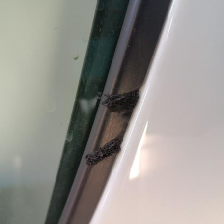 Porte arriere gauche DACIA SANDERO 2