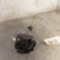 Serrure arriere gauche AUDI A3 2
