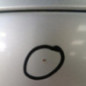 Capot CITROEN XSARA PICASSO
