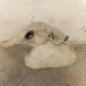 Vase de lave glace PEUGEOT 208 1