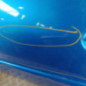 Porte avant gauche PEUGEOT 206