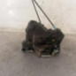 Serrure avant droit TOYOTA RAV4 3
