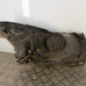 Optique avant principal gauche (feux)(phare) OPEL CORSA D