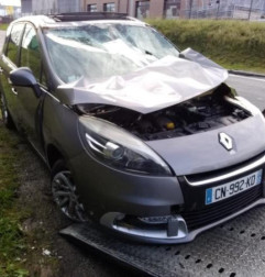 Renfort pare choc arriere (traverse) RENAULT SCENIC 3 Photo n°3