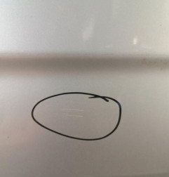 Porte arriere gauche CITROEN C4 2 Photo n°3