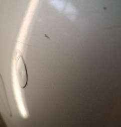 Porte arriere gauche CITROEN C4 2 Photo n°7