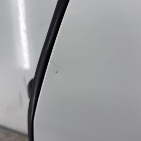 Porte arriere gauche DACIA DUSTER 1