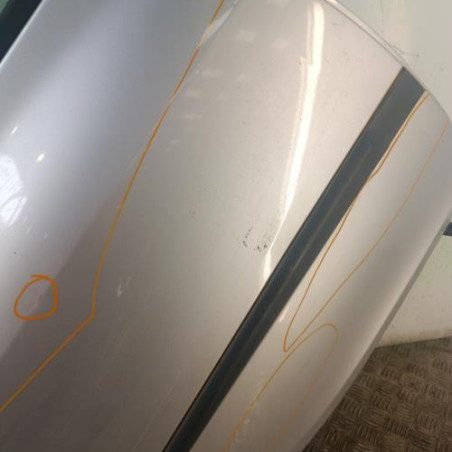 Porte arriere droit RENAULT CLIO 3