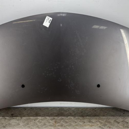 Capot RENAULT CLIO 3 Photo n°1