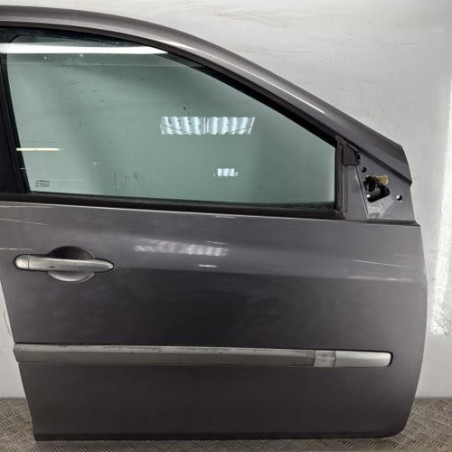Porte avant droit RENAULT CLIO 3 Photo n°1