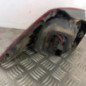 Feu arriere principal droit (feux) VOLKSWAGEN GOLF 7