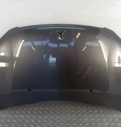 Capot PEUGEOT 2008 1 Photo n°1