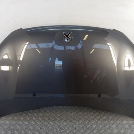 Capot PEUGEOT 2008 1 Photo n°1