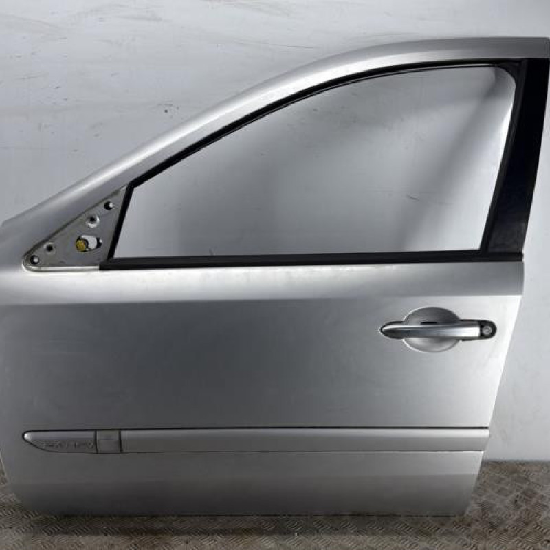 Porte avant gauche RENAULT LAGUNA 2