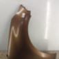 Aile avant droit RENAULT SCENIC 3