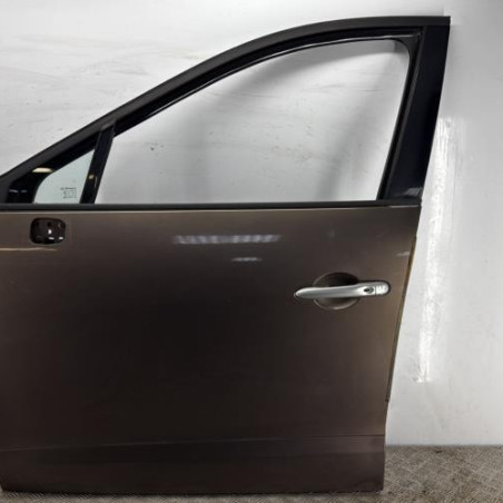 Porte avant gauche RENAULT SCENIC 3 Photo n°1