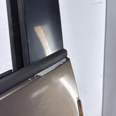 Porte avant gauche RENAULT SCENIC 3