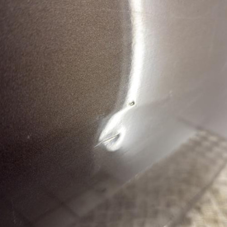 Porte avant droit RENAULT SCENIC 3