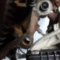 Moteur CITROEN JUMPER 3